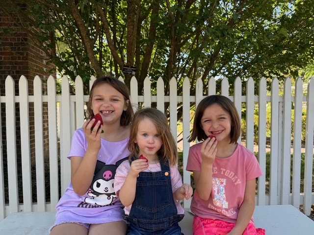 Hailey's three daughters, the inspiration behind Hicks Family Creations